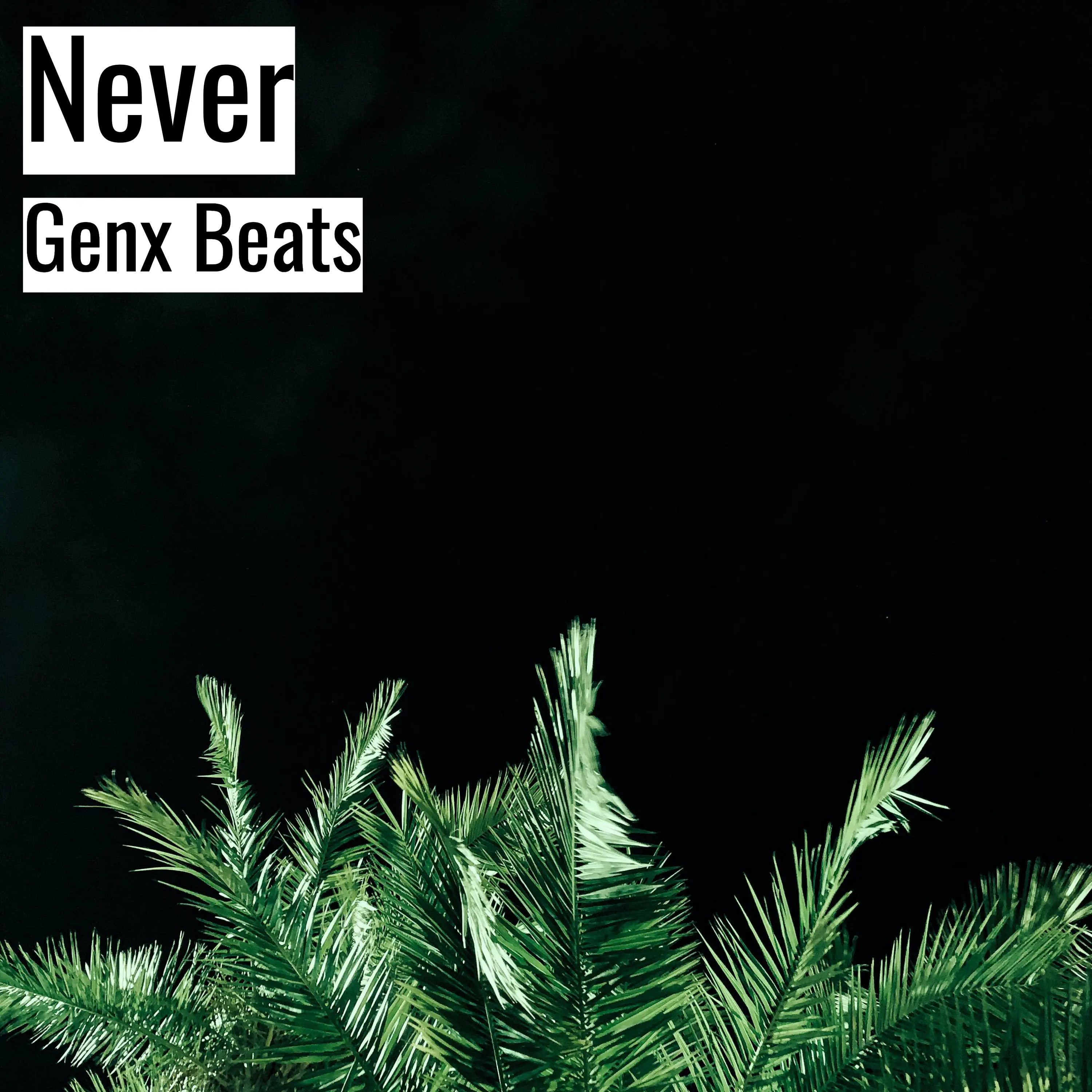 [Dark Hiphop Beat] Never - Genx Beats