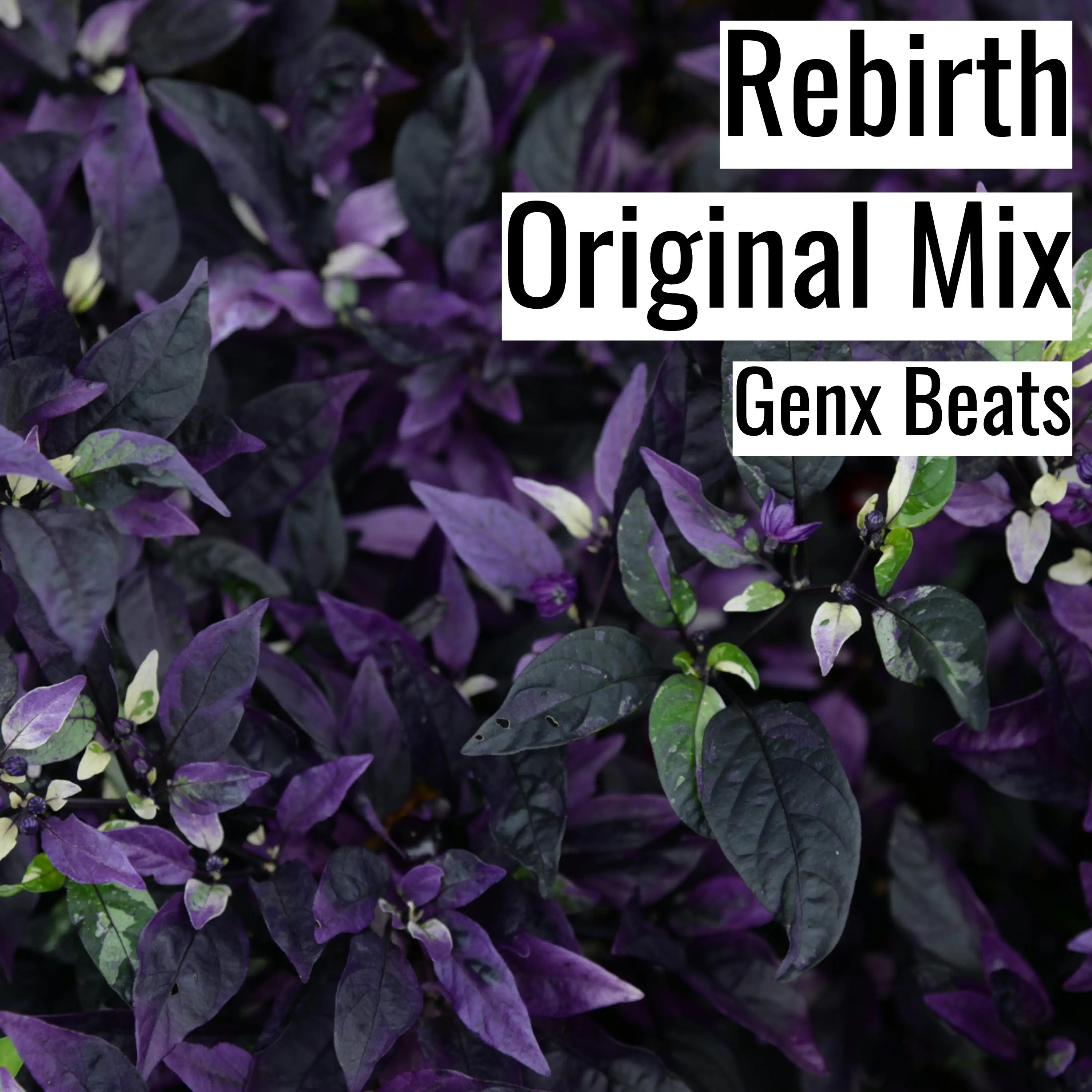 [Dark Hiphop Beat] Rebirth Original Mix - Genx Beats