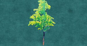 [アートNFT] Tree Isolated（木のアイソレーション）