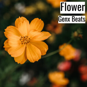 (フリーBGM) [ラップビート/Vlog BGM] Flower (MP3)