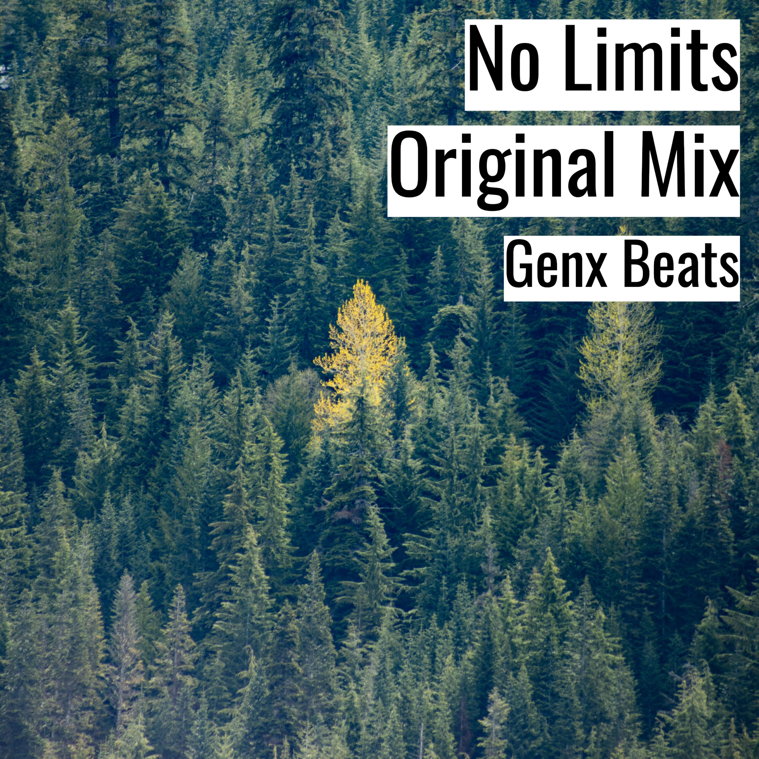 [ブーンバップ・ヒップホップビート] No Limits Original Mix