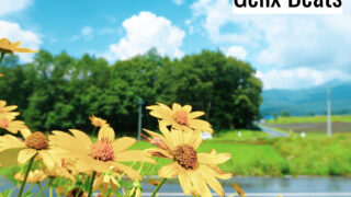 Summer