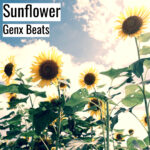 (フリーBGM) [ラップビート/Vlog BGM] Sunflower (MP3)