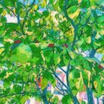 [アート] 赤い実をつけた近所の木