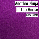 [音楽] Another Ninja In The House
