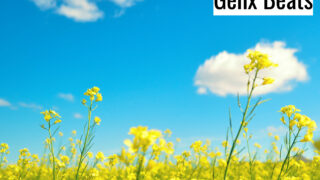 Believe