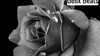 Black And White