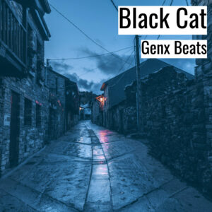 (フリーBGM) [ラップビート/Vlog BGM] Black Cat (MP3)