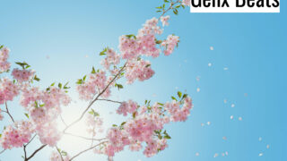 Blossom