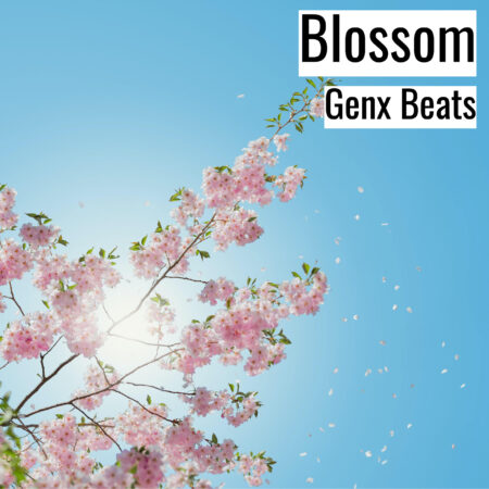 [音楽] Blossom (MP3)