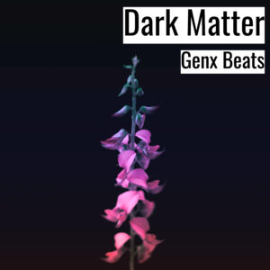 (フリーBGM) [ラップビート/Vlog BGM] Dark Matter (MP3)