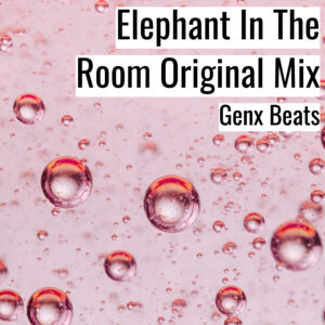 [音楽] Elephant In The Room Original Mix (MP3)