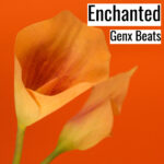 [音楽] Enchanted