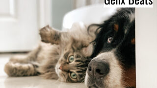 Friends