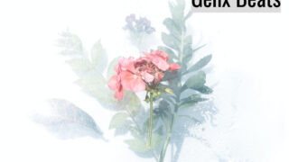 Gentle Breeze
