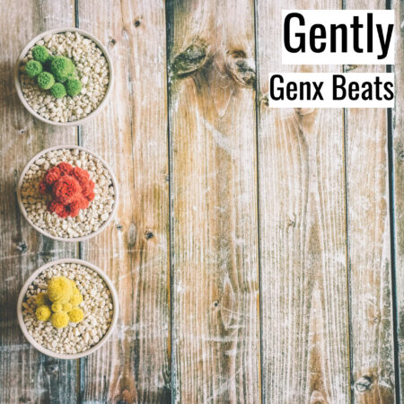 (フリーBGM) [ラップビート/Vlog BGM] Gently (MP3)