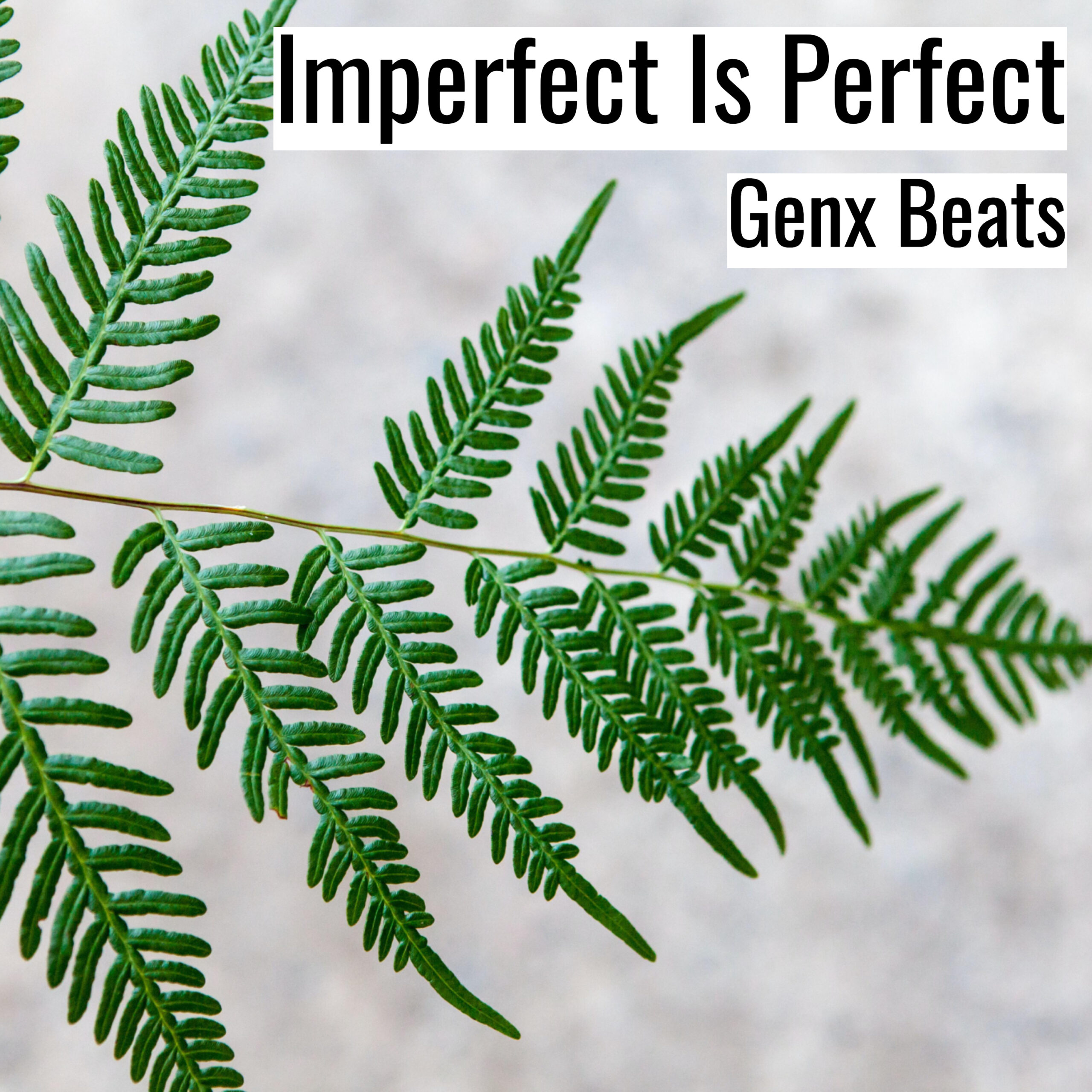 [ブーンバップ・ヒップホップビート] Imperfect Is Perfect