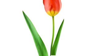Just For You