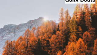 Last Autumn