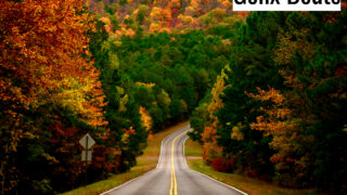 My Way Your Way