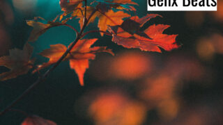 November