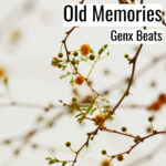 [音楽] Old Memories