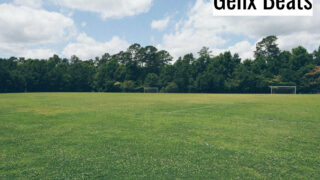 Perfect Day
