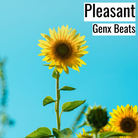 [音楽] Pleasant (MP3)