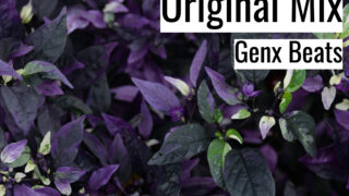 Rebirth Original Mix