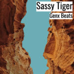[音楽] Sassy Tiger