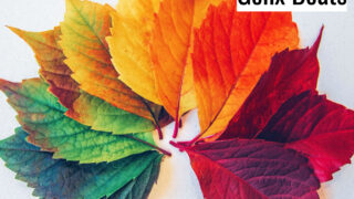 Seasons