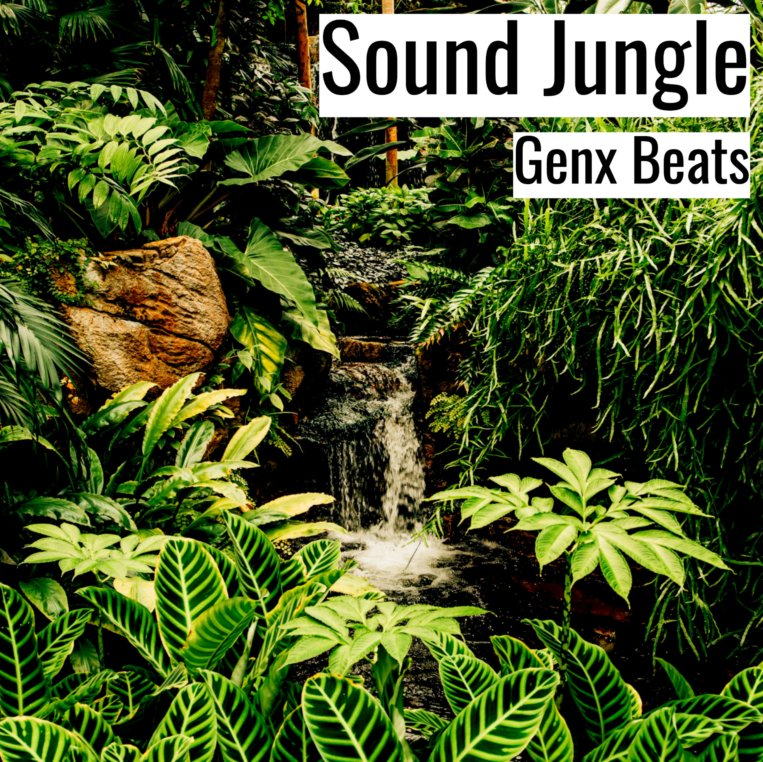 Sound Jungle scaled
