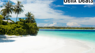 Sunny Island