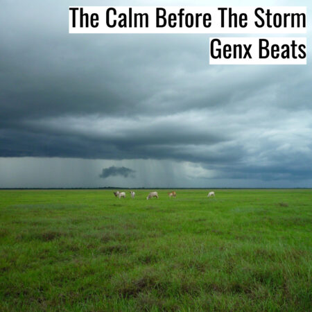 [音楽] The Calm Before The Storm (MP3)
