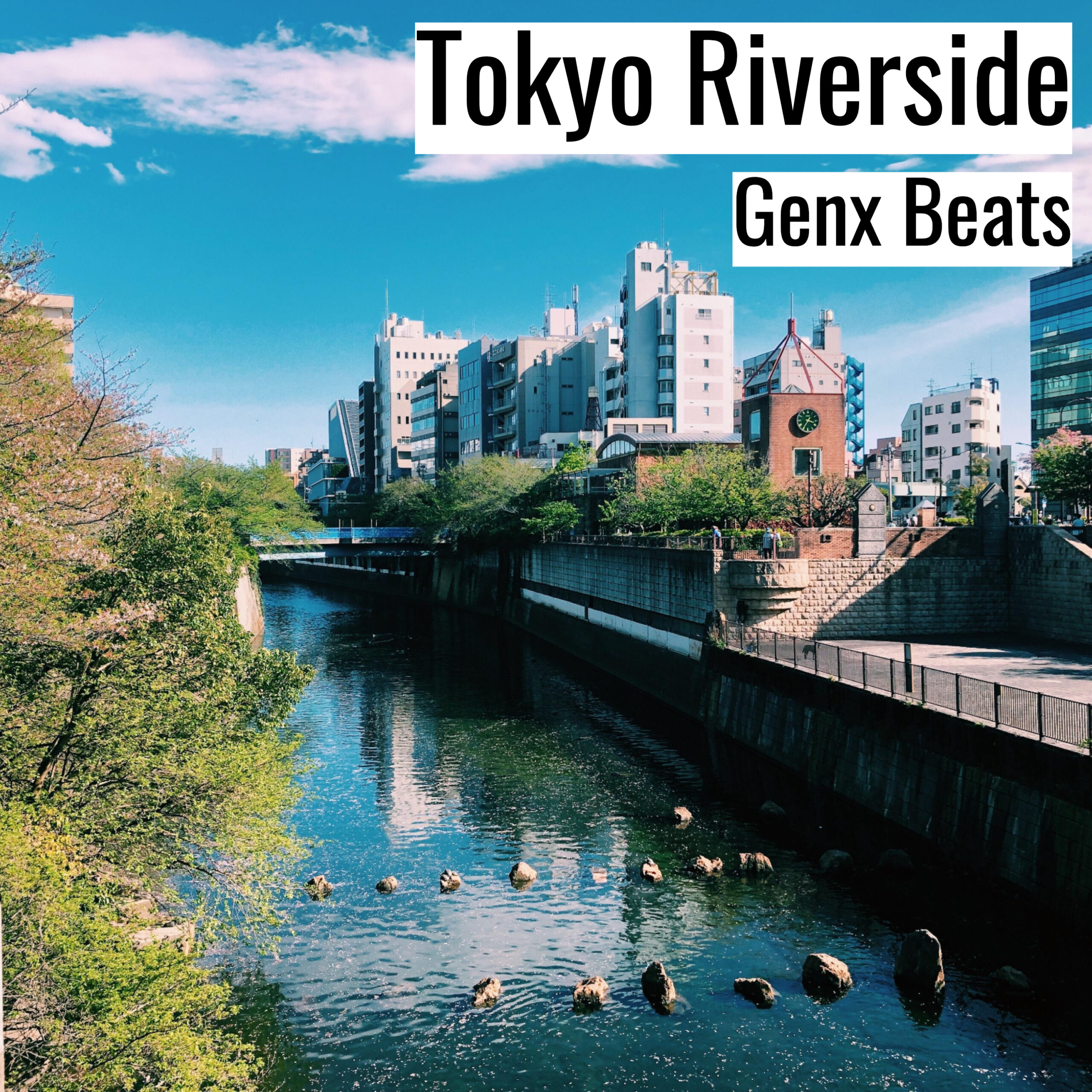 Tokyo Riverside scaled