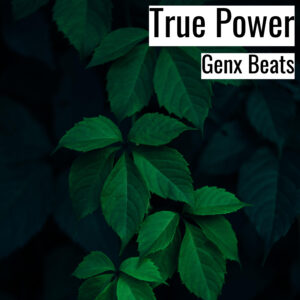 (フリーBGM) [ラップビート/Vlog BGM] True Power (MP3)