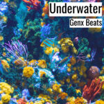 [音楽] Underwater