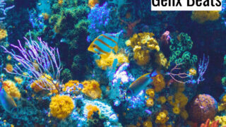 Underwater