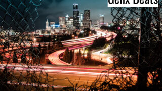 Urban Jungle