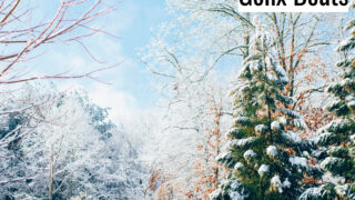 Winter Day