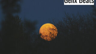 Yellow Moon