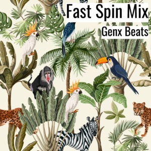 (フリーBGM) [ラップビート/Vlog BGM] Feel About U (Fast Spin Mix) (MP3)