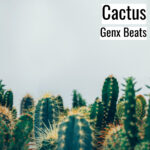 [音楽] Cactus
