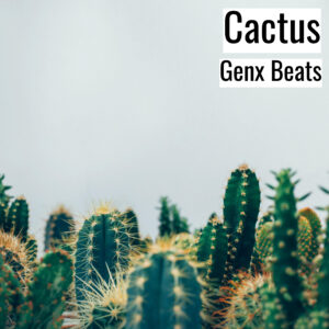 (フリーBGM) [ラップビート/Vlog BGM] Cactus (MP3)