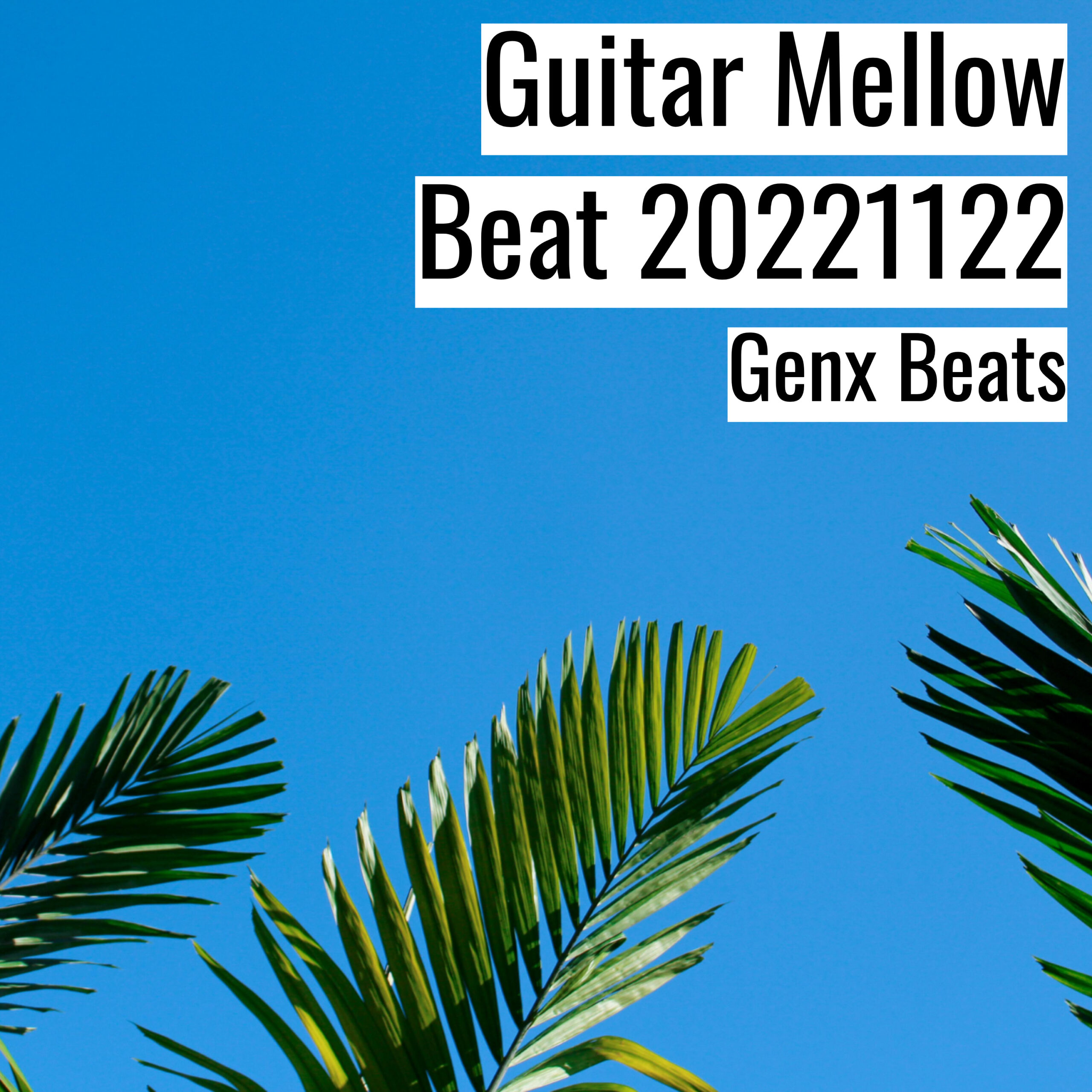 [Bandlab] Guitar Mellow Beat 20221122