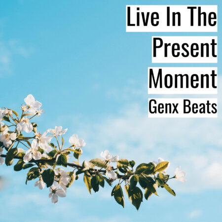(フリーBGM) [ラップビート/Vlog BGM] Live In The Present Moment Original Mix (MP3)