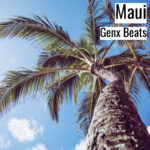 [明るいヒップホップビート] Maui – Genx Beats