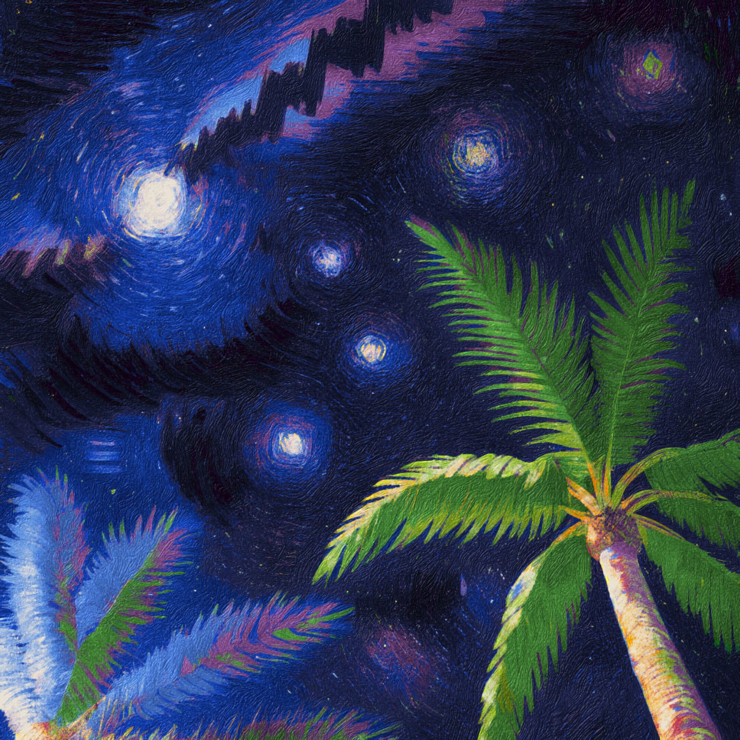 Palm Tree And Night Sky scaled