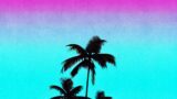 Palm Tree Isolated