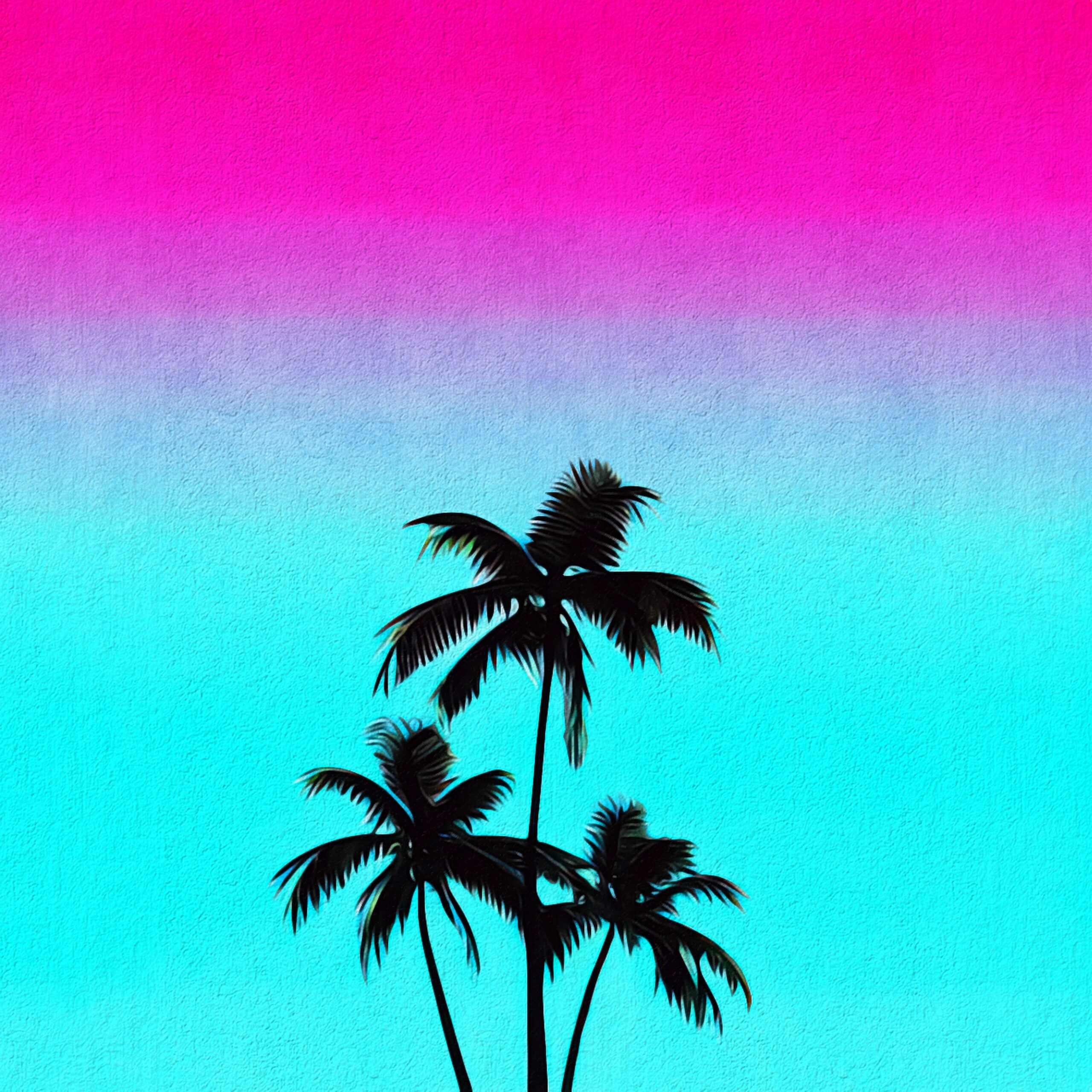 Palm Tree Isolated scaled